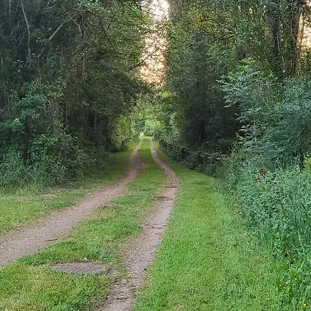 Dağ evi L'echappee Verte *